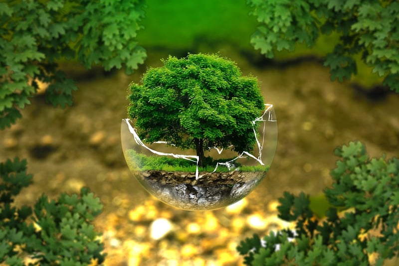 Environmental Activist